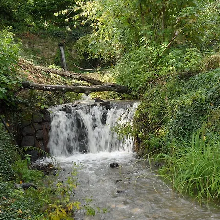 Pensjonat Mola Solis *