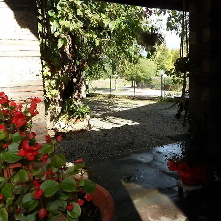 Mola Solis Civitella dʼAgliano