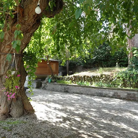 Pensjonat Mola Solis *