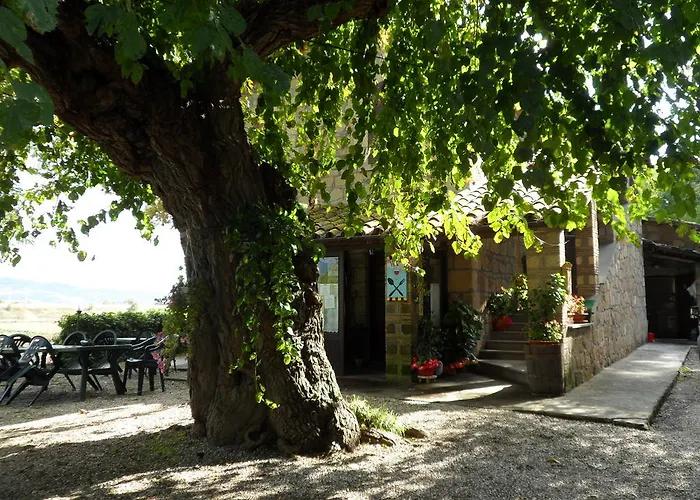 Πανσιόν Mola Solis Civitella dʼAgliano